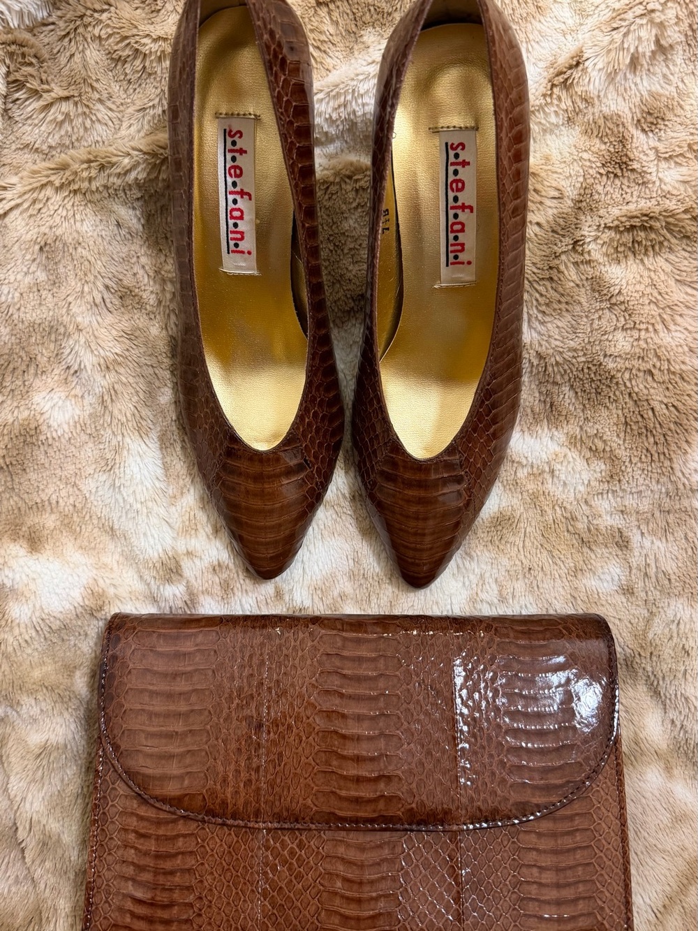 Stefani Leather Brown Pointed-Toe Pumps - Elegant Women’s Heels and matching bag